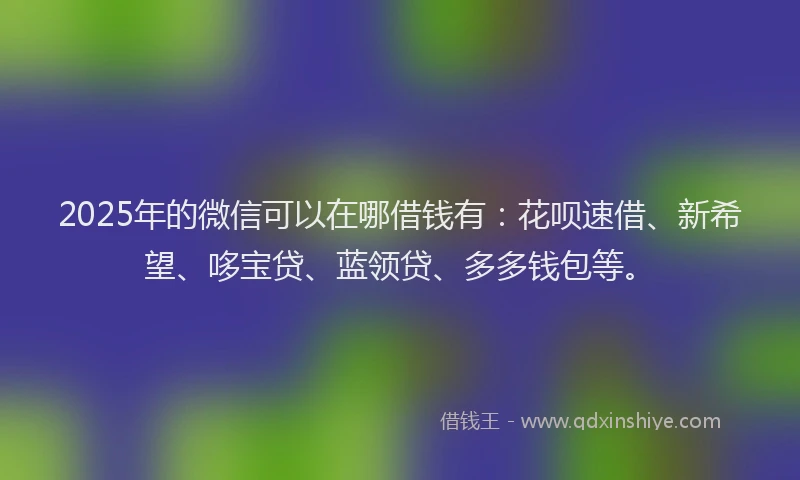 2025年的微信可以在哪借钱有：花呗速借、新希望、哆宝贷、蓝领贷、多多钱包等。