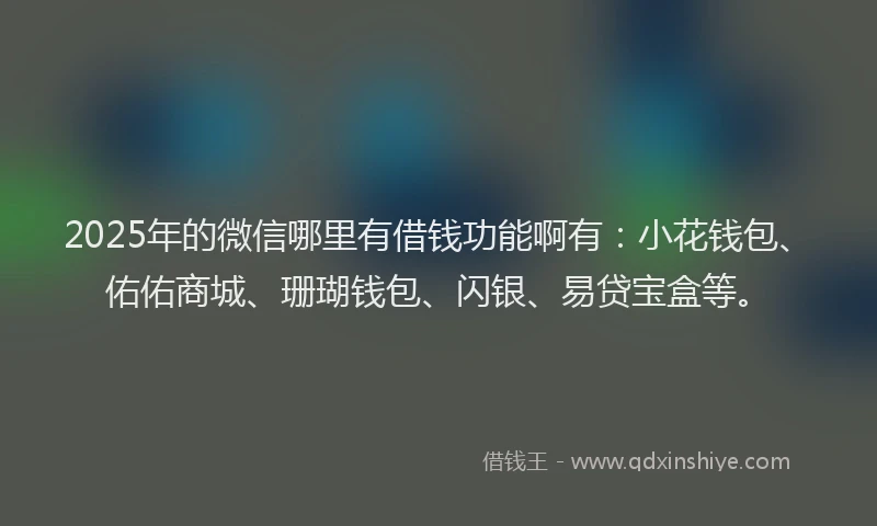 2025年的微信哪里有借钱功能啊有：小花钱包、佑佑商城、珊瑚钱包、闪银、易贷宝盒等。
