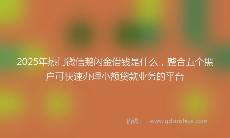2025年热门微信鹅闪金借钱是什么，整合五个黑户可快速办理小额贷款业务的平台