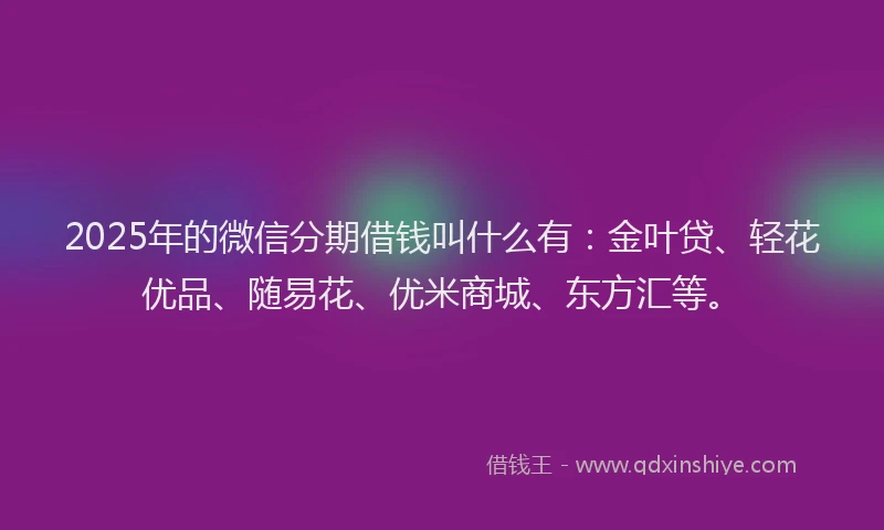 2025年的微信分期借钱叫什么有：金叶贷、轻花优品、随易花、优米商城、东方汇等。