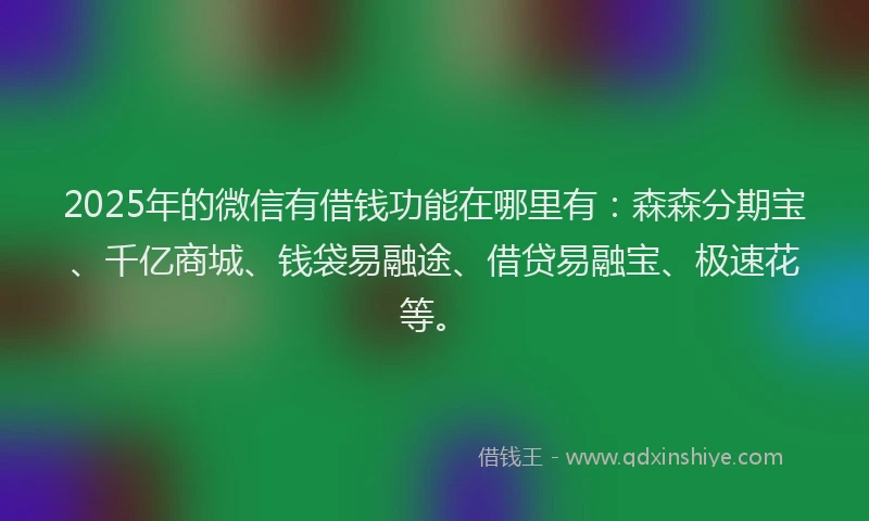 2025年的微信有借钱功能在哪里有：森森分期宝、千亿商城、钱袋易融途、借贷易融宝、极速花等。