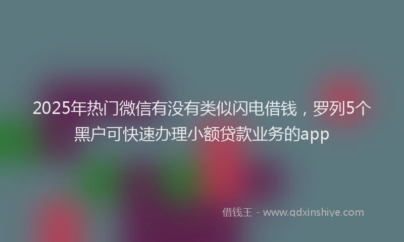 2025年热门微信有没有类似闪电借钱，罗列5个黑户可快速办理小额贷款业务的app