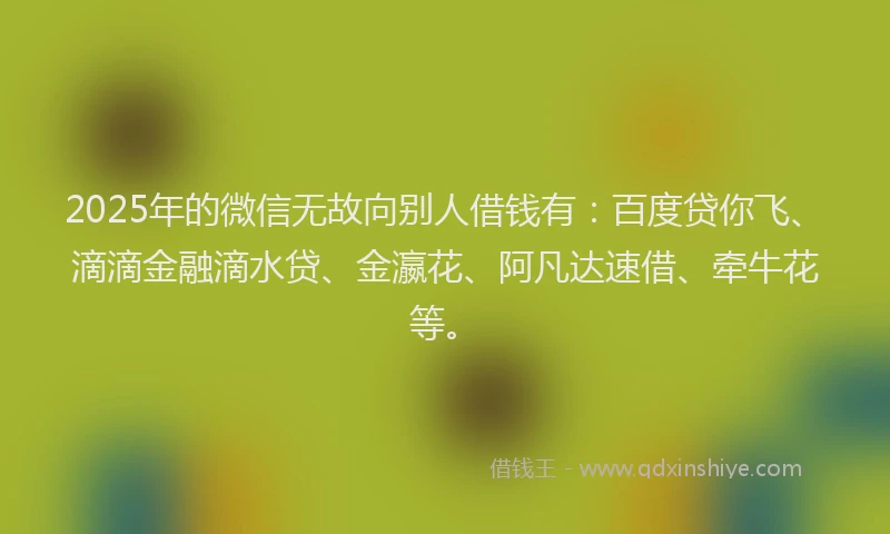 2025年的微信无故向别人借钱有：百度贷你飞、滴滴金融滴水贷、金瀛花、阿凡达速借、牵牛花等。