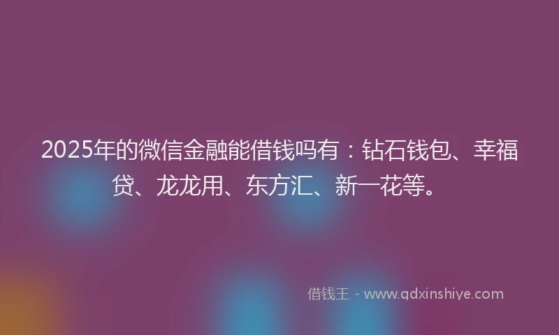 2025年的微信金融能借钱吗有：钻石钱包、幸福贷、龙龙用、东方汇、新一花等。