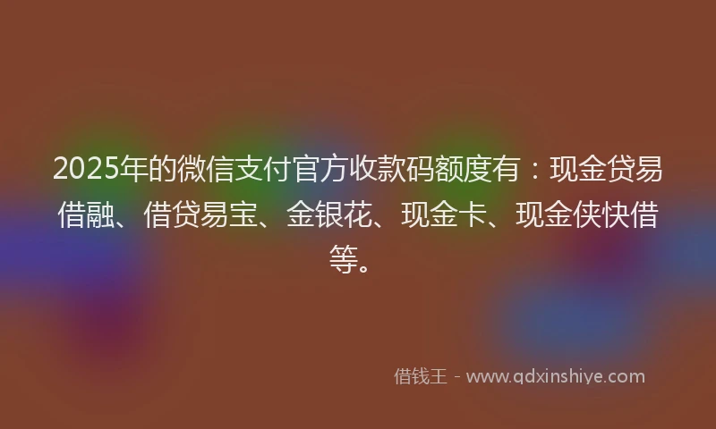 2025年的微信支付官方收款码额度有：现金贷易借融、借贷易宝、金银花、现金卡、现金侠快借等。