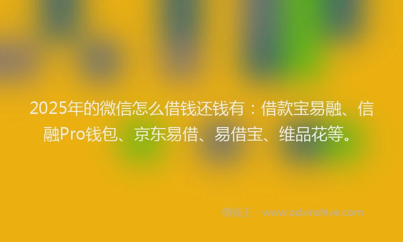 2025年的微信怎么借钱还钱有：借款宝易融、信融Pro钱包、京东易借、易借宝、维品花等。