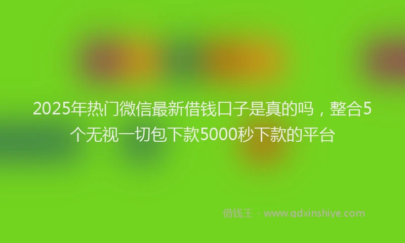 2025年热门微信最新借钱口子是真的吗，整合5个无视一切包下款5000秒下款的平台