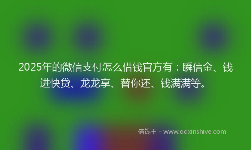 2025年的微信支付怎么借钱官方有：瞬信金、钱进快贷、龙龙享、替你还、钱满满等。