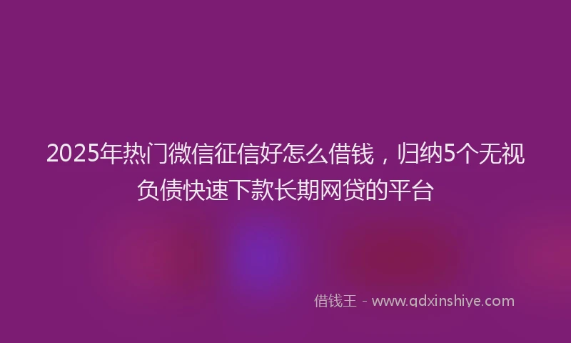 2025年热门微信征信好怎么借钱，归纳5个无视负债快速下款长期网贷的平台