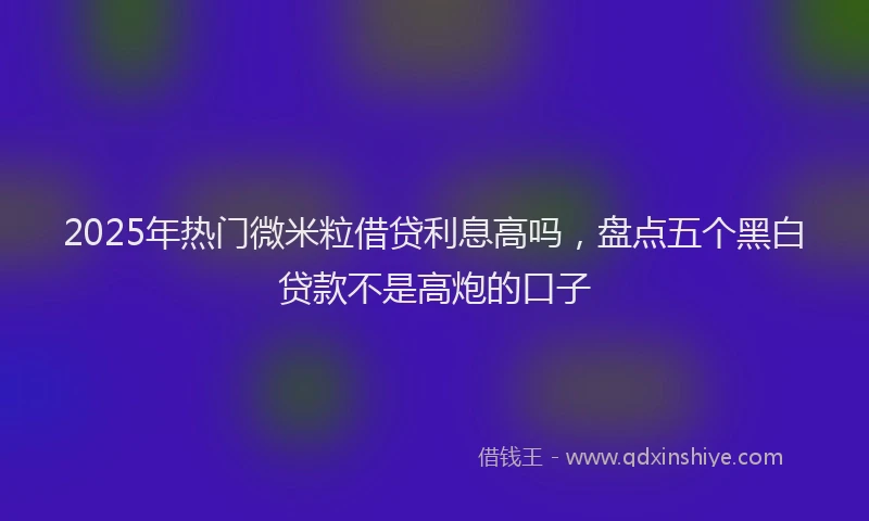2025年热门微米粒借贷利息高吗，盘点五个黑白贷款不是高炮的口子