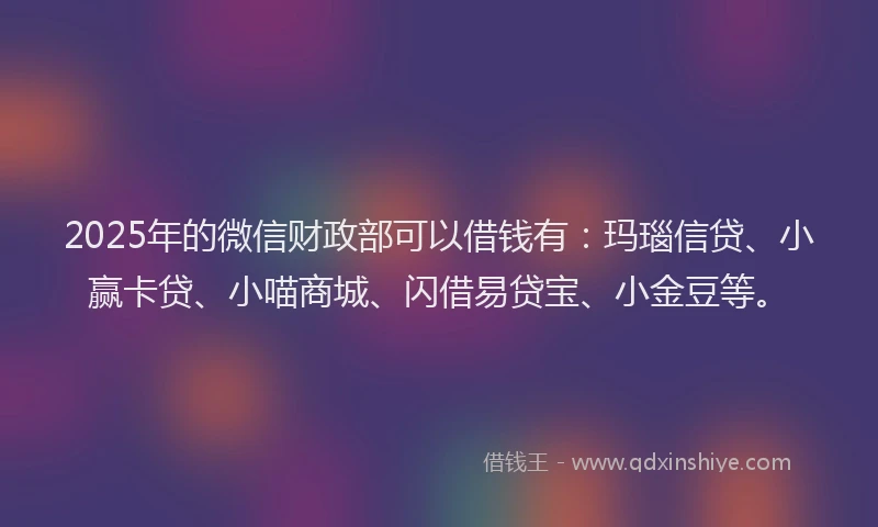 2025年的微信财政部可以借钱有：玛瑙信贷、小赢卡贷、小喵商城、闪借易贷宝、小金豆等。