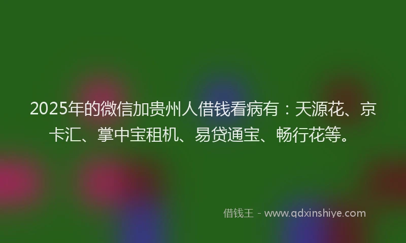 2025年的微信加贵州人借钱看病有：天源花、京卡汇、掌中宝租机、易贷通宝、畅行花等。
