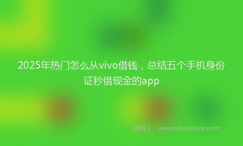 2025年热门怎么从vivo借钱,总结五个手机身份证秒借现金的app