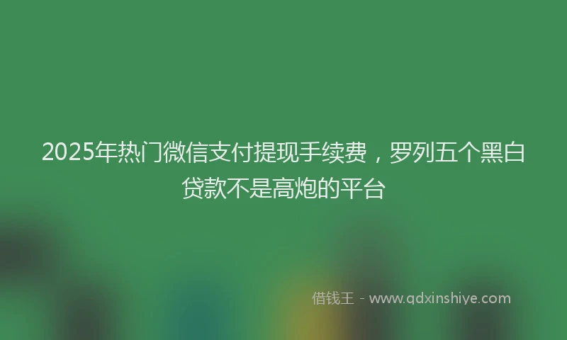2025年热门微信支付提现手续费，罗列五个黑白贷款不是高炮的平台