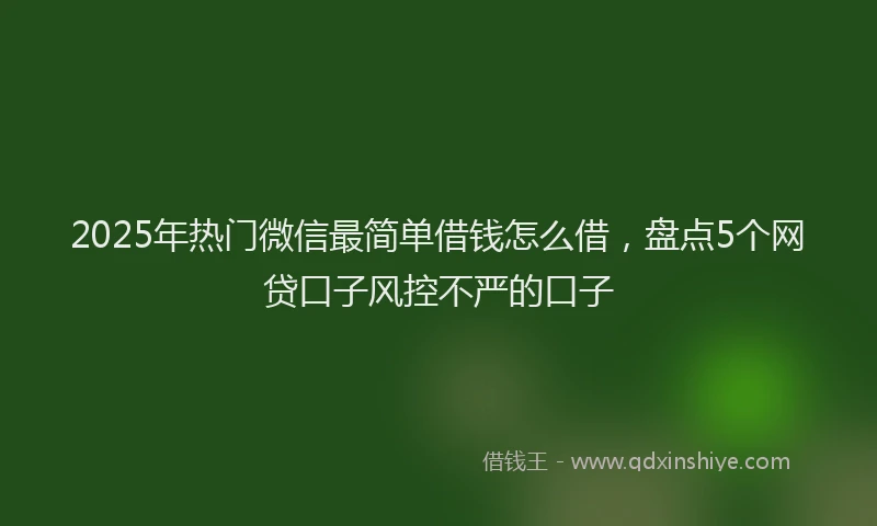 2025年热门微信最简单借钱怎么借，盘点5个网贷口子风控不严的口子