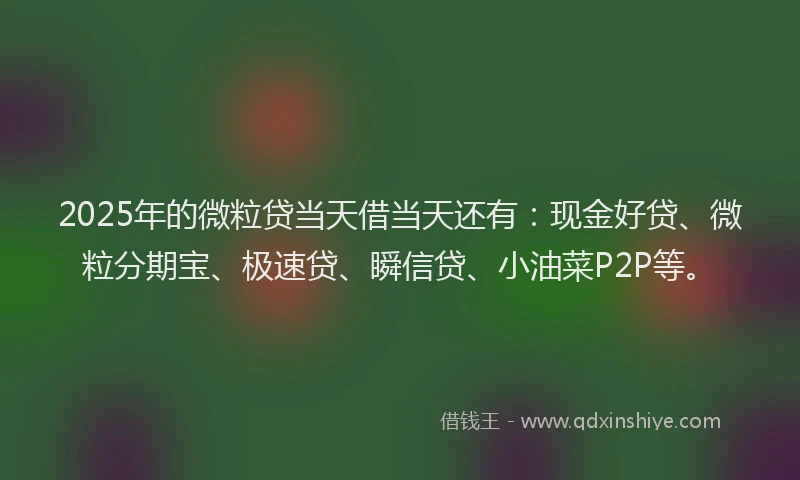 2025年的微粒贷当天借当天还有：现金好贷、微粒分期宝、极速贷、瞬信贷、小油菜P2P等。