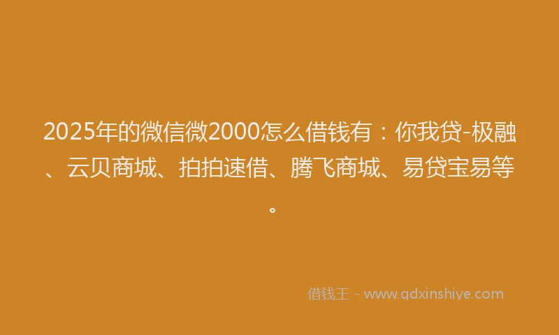 2025年的微信微2000怎么借钱有：你我贷-极融、云贝商城、拍拍速借、腾飞商城、易贷宝易等。