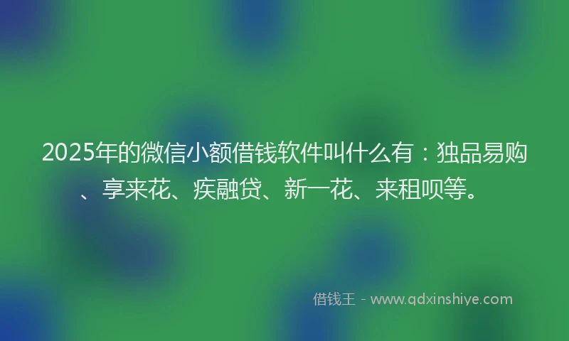 2025年的微信小额借钱软件叫什么有：独品易购、享来花、疾融贷、新一花、来租呗等。