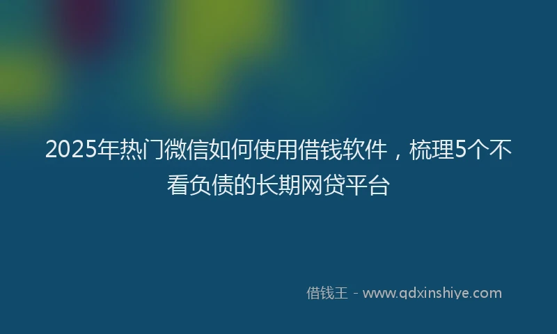 2025年热门微信如何使用借钱软件，梳理5个不看负债的长期网贷平台