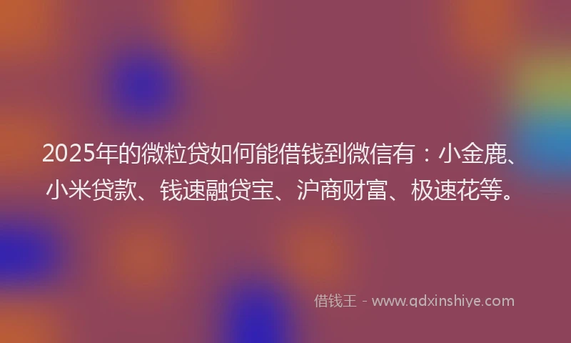 2025年的微粒贷如何能借钱到微信有：小金鹿、小米贷款、钱速融贷宝、沪商财富、极速花等。