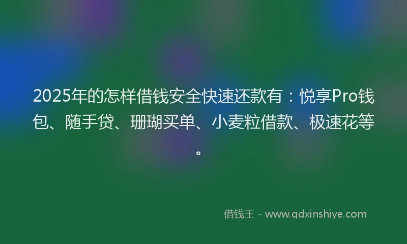 2025年的怎样借钱安全快速还款有：悦享Pro钱包、随手贷、珊瑚买单、小麦粒借款、极速花等。