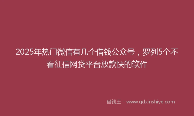 2025年热门微信有几个借钱公众号，罗列5个不看征信网贷平台放款快的软件