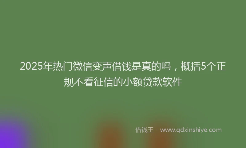 2025年热门微信变声借钱是真的吗，概括5个正规不看征信的小额贷款软件