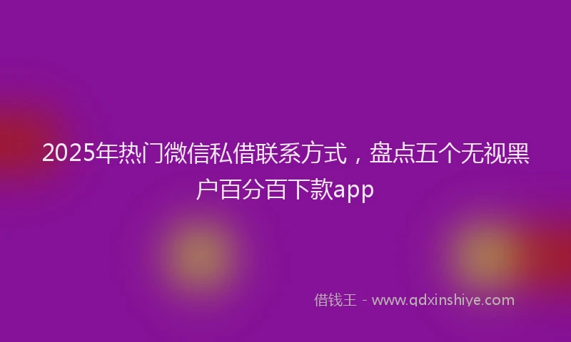 2025年热门微信私借联系方式，盘点五个无视黑户百分百下款app