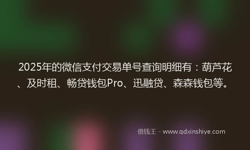 2025年的微信支付交易单号查询明细有:葫芦花、及时租、畅贷钱包Pro、迅融贷、森森钱包等。