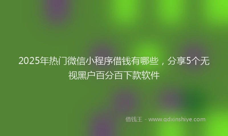 2025年热门微信小程序借钱有哪些，分享5个无视黑户百分百下款软件