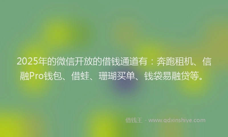 2025年的微信开放的借钱通道有：奔跑租机、信融Pro钱包、借蛙、珊瑚买单、钱袋易融贷等。