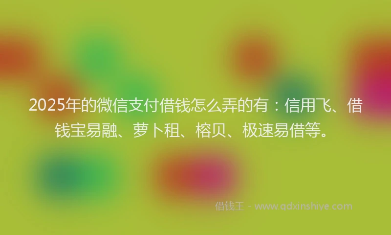 2025年的微信支付借钱怎么弄的有：信用飞、借钱宝易融、萝卜租、榕贝、极速易借等。