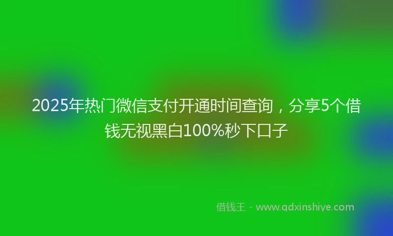 2025年热门微信支付开通时间查询，分享5个借钱无视黑白100%秒下口子