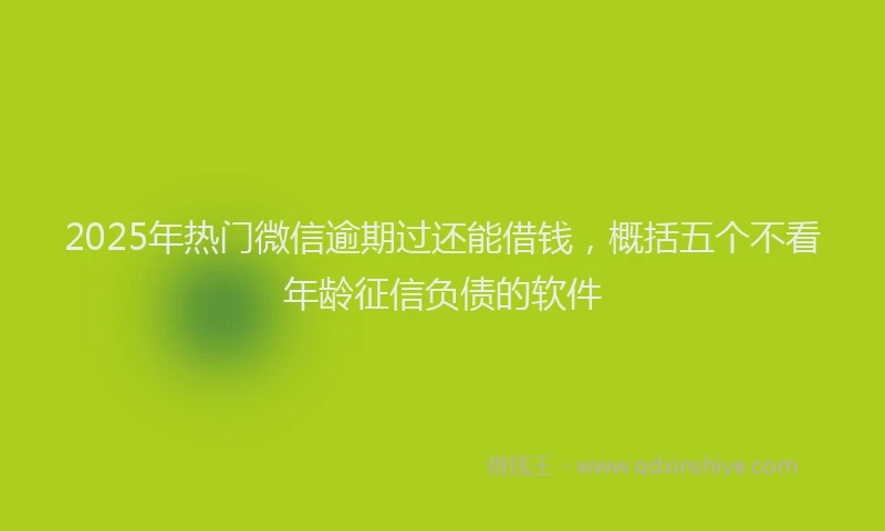 2025年热门微信逾期过还能借钱，概括五个不看年龄征信负债的软件