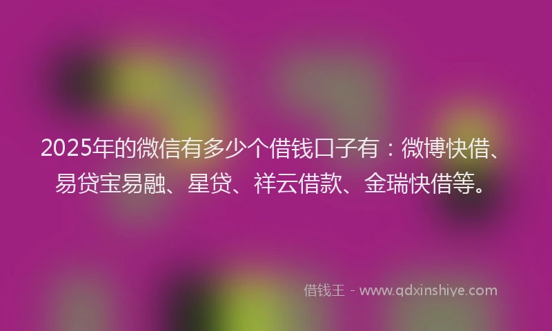 2025年的微信有多少个借钱口子有：微博快借、易贷宝易融、星贷、祥云借款、金瑞快借等。