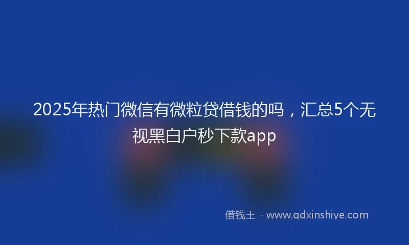 2025年热门微信有微粒贷借钱的吗，汇总5个无视黑白户秒下款app