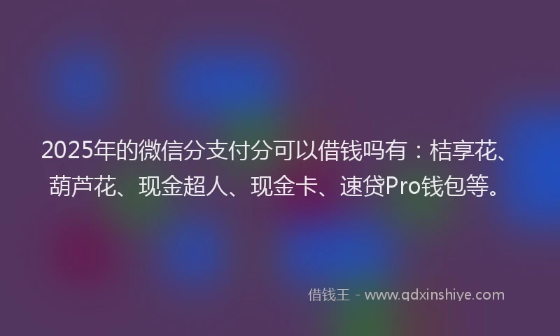 2025年的微信分支付分可以借钱吗有：桔享花、葫芦花、现金超人、现金卡、速贷Pro钱包等。