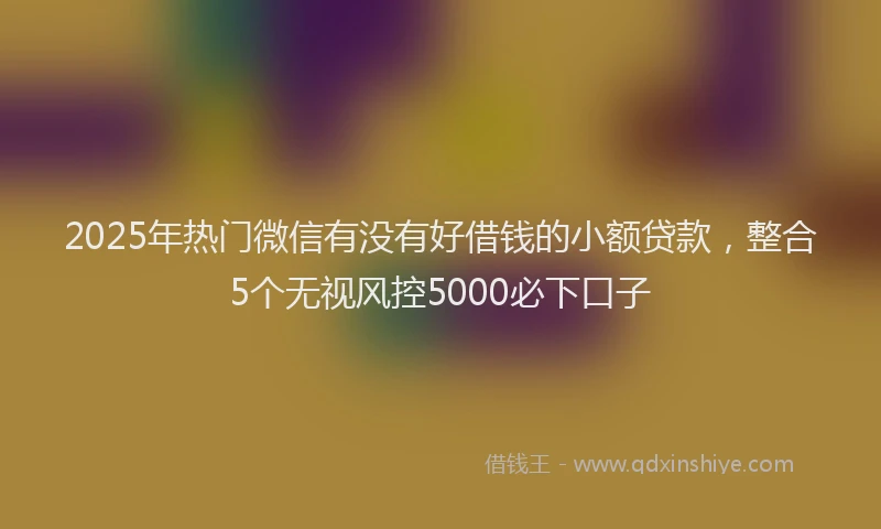 2025年热门微信有没有好借钱的小额贷款，整合5个无视风控5000必下口子