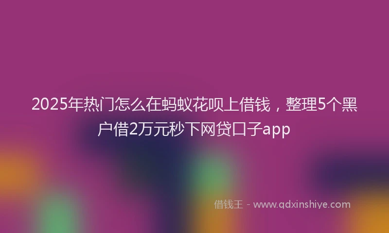 2025年热门怎么在蚂蚁花呗上借钱，整理5个黑户借2万元秒下网贷口子app