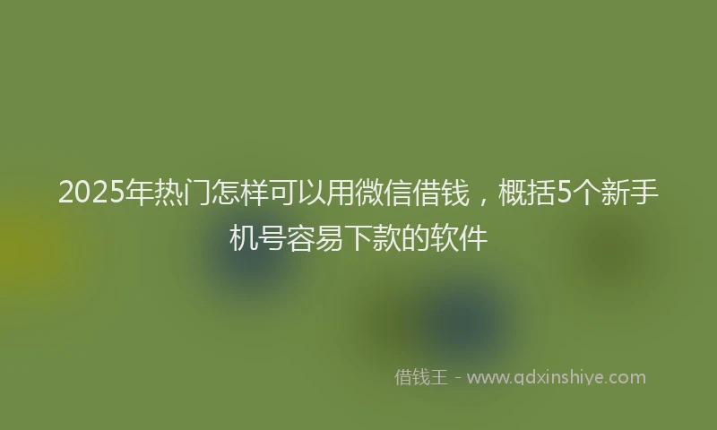2025年热门怎样可以用微信借钱，概括5个新手机号容易下款的软件