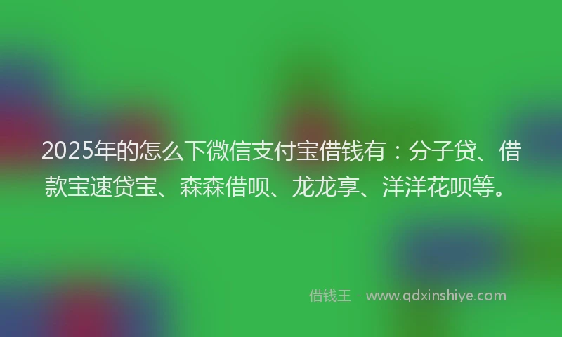 2025年的怎么下微信支付宝借钱有：分子贷、借款宝速贷宝、森森借呗、龙龙享、洋洋花呗等。