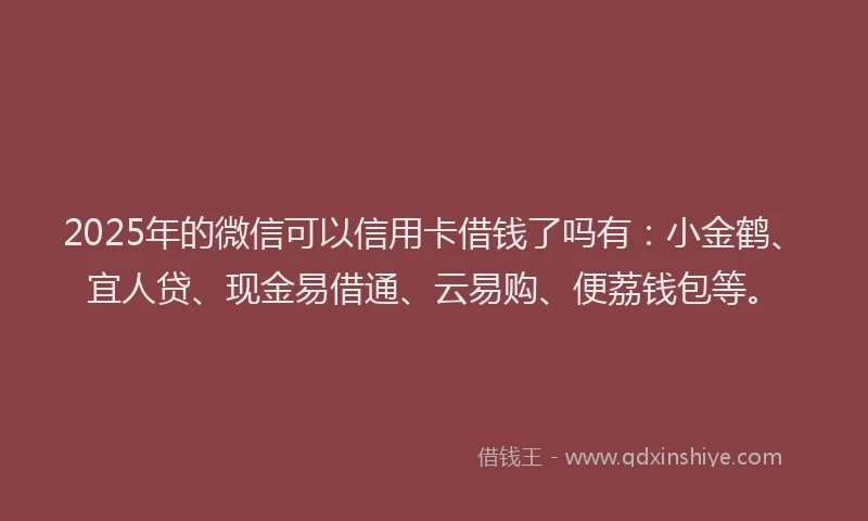 2025年的微信可以信用卡借钱了吗有：小金鹤、宜人贷、现金易借通、云易购、便荔钱包等。