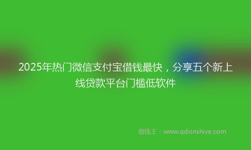 2025年热门微信支付宝借钱最快，分享五个新上线贷款平台门槛低软件