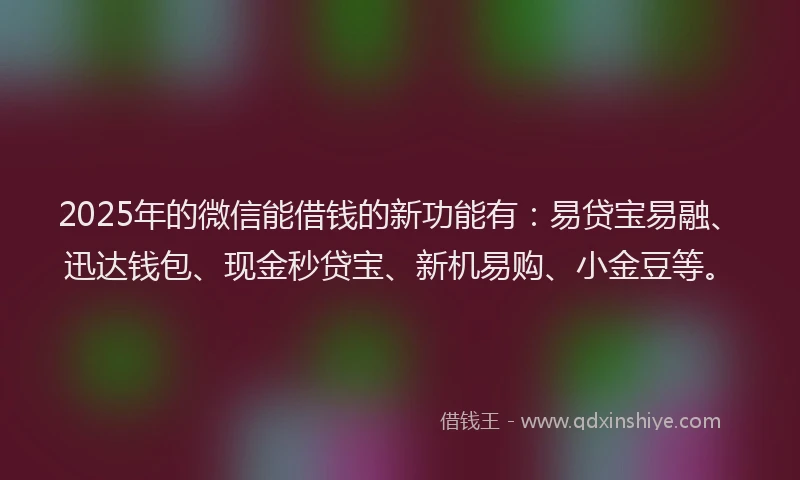 2025年的微信能借钱的新功能有：易贷宝易融、迅达钱包、现金秒贷宝、新机易购、小金豆等。