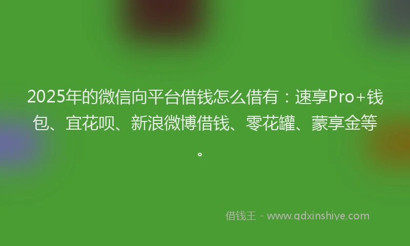 2025年的微信向平台借钱怎么借有：速享Pro+钱包、宜花呗、新浪微博借钱、零花罐、蒙享金等。