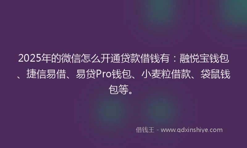 2025年的微信怎么开通贷款借钱有：融悦宝钱包、捷信易借、易贷Pro钱包、小麦粒借款、袋鼠钱包等。