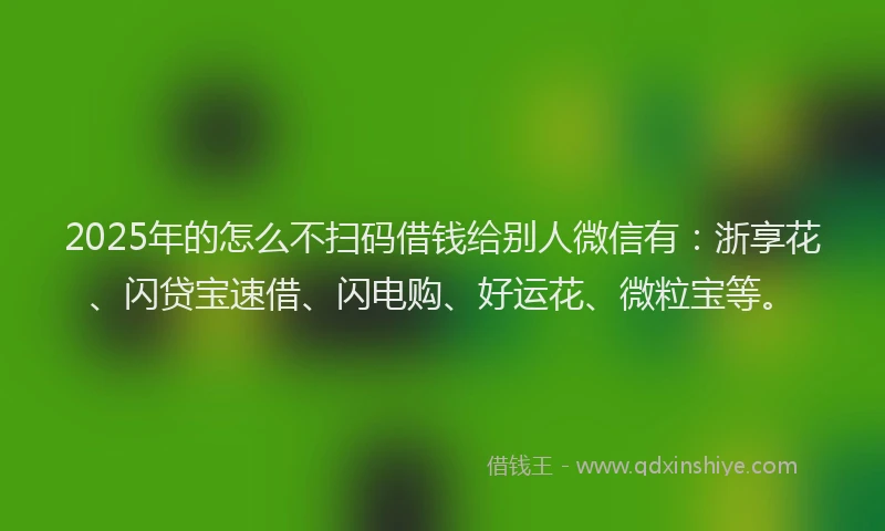 2025年的怎么不扫码借钱给别人微信有：浙享花、闪贷宝速借、闪电购、好运花、微粒宝等。