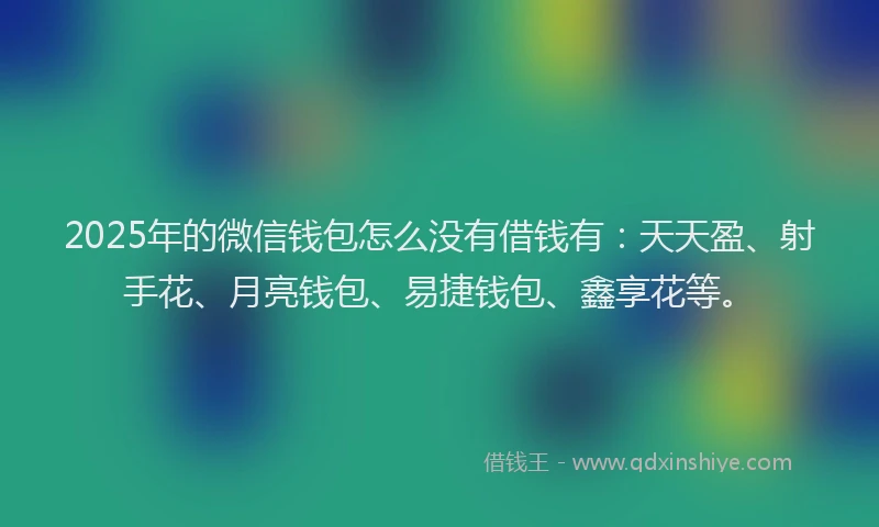 2025年的微信钱包怎么没有借钱有:天天盈、射手花、月亮钱包、易捷钱包、鑫享花等。