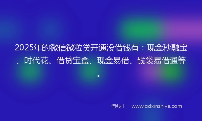 2025年的微信微粒贷开通没借钱有：现金秒融宝、时代花、借贷宝盒、现金易借、钱袋易借通等。