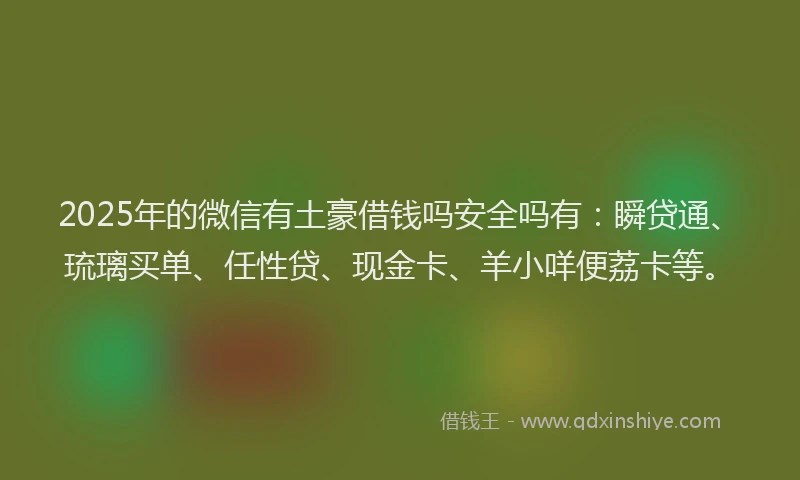 2025年的微信有土豪借钱吗安全吗有：瞬贷通、琉璃买单、任性贷、现金卡、羊小咩便荔卡等。
